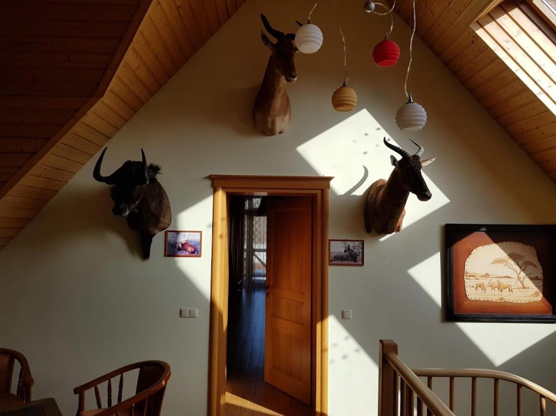 Apartamentai Hunter House Друскінінкай Екстер'єр фото