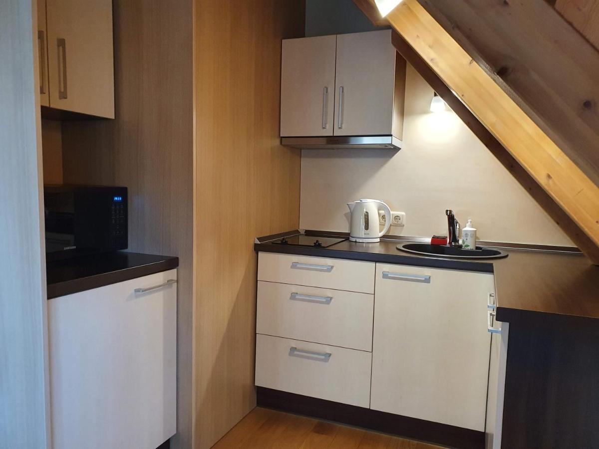 Apartamentai Hunter House Друскінінкай Екстер'єр фото